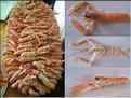 Langoustines composition.jpg