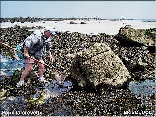 P&ecirc;cheur de crevettes.jpg
